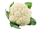 vegitables